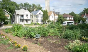 Community garden small