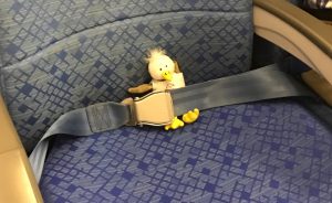 Small plush toy bird buckled into an airplane seat