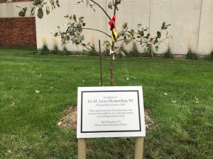 A picture of the sign recognizing the dedication and apple tree