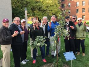 Ert and friends stood around the apple tree