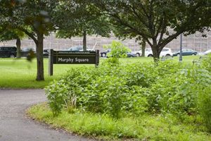 A picture of Murphy Square Park