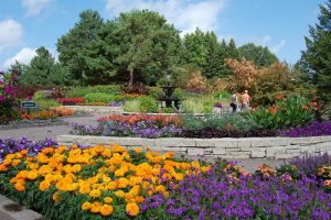 minnesota landscape arboretum