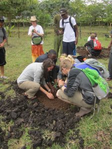 students planting trees