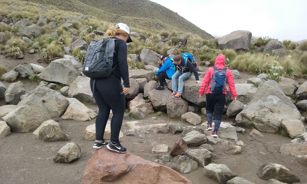 Nevado de toluca, Volcano, Mexico