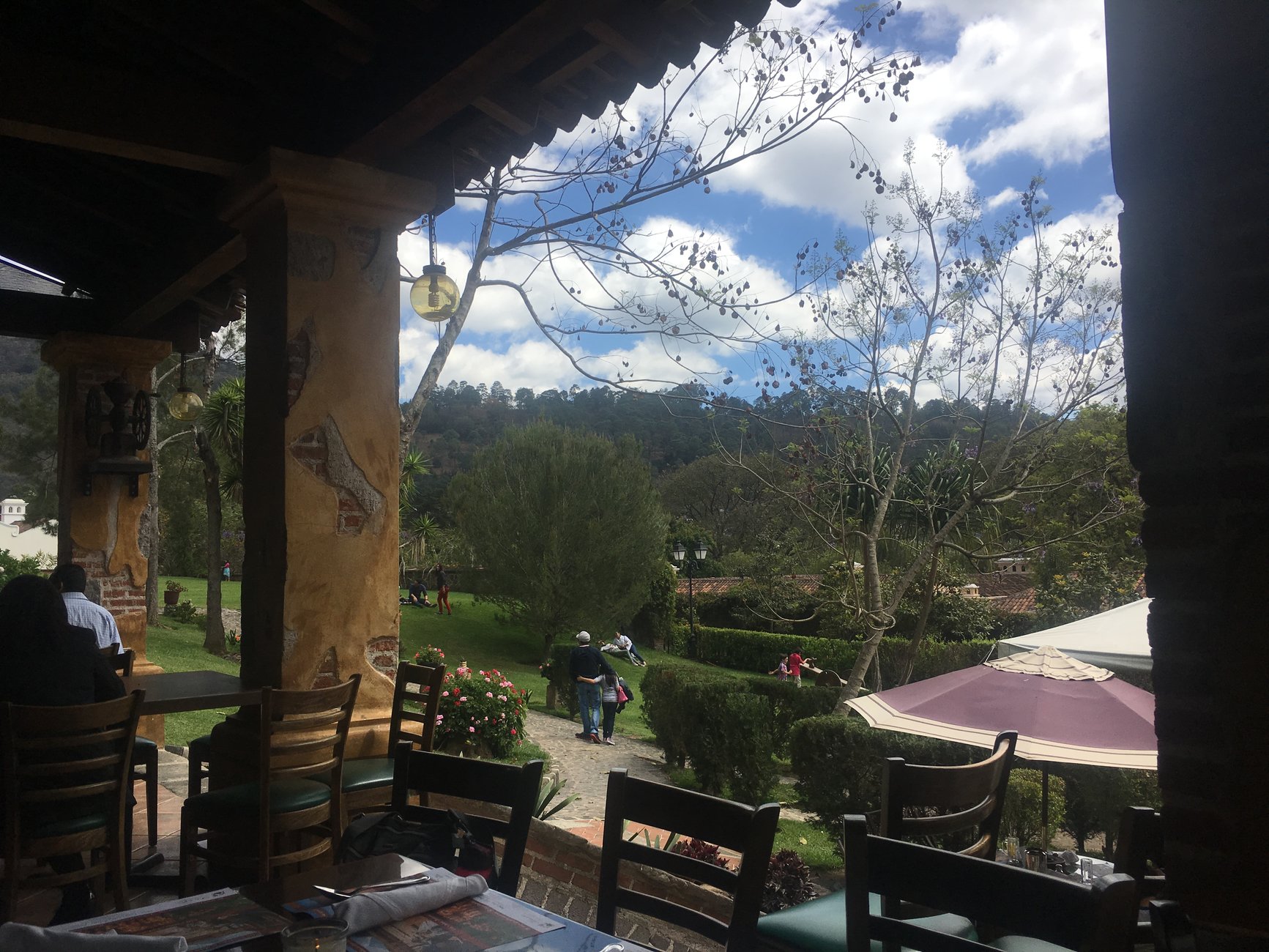 Looking out at coffee fields