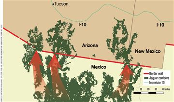 Existing border wall and jaguar movement corridors.