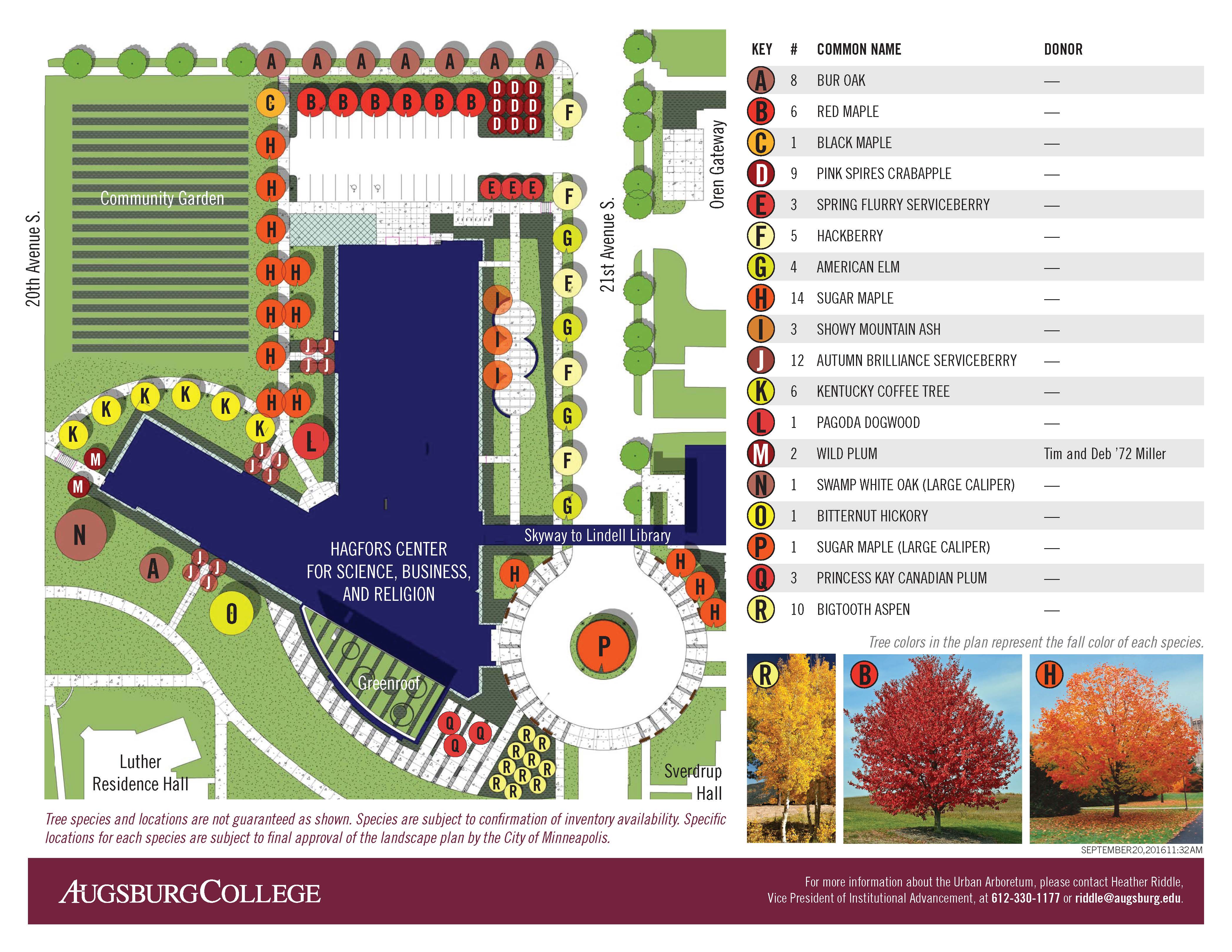 Monday October 3 2016 Landscape Plans Include 90 New Trees Hagfors Center For Science monday-october-3-2016-landscape-plans-include-90-new-trees-hagfors-center-for-science