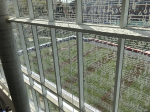 the green roof seen through the glass fritting in the atrium window