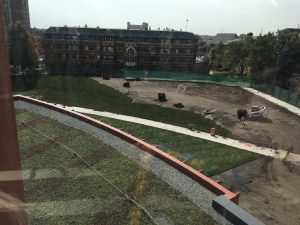 Sod by Anderson Hall, September 18, 2017