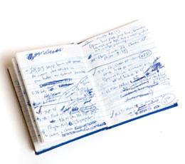 Biology instructor Kevin Potts uses his own codes and shorthand to track information on chimpanzees.