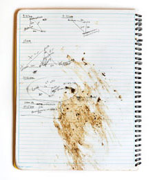 The field journal of Anika Clark