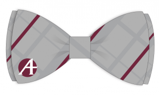 Mock-up of tie design