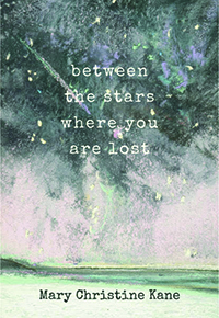 mary christine kane 2 book cover
