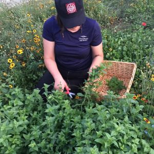 person gardening 