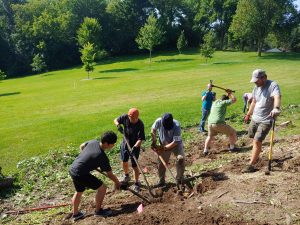 People dig in a garden 