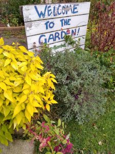 plants and welcome sign