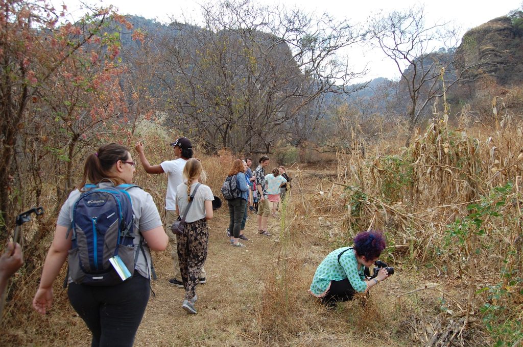 Students exploring nature in Mexico