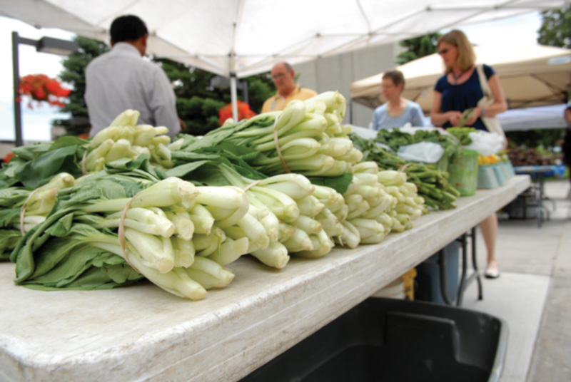 Augsburg farmers market