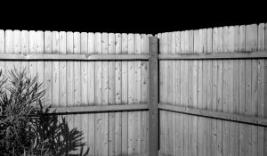 Black and white fence photo