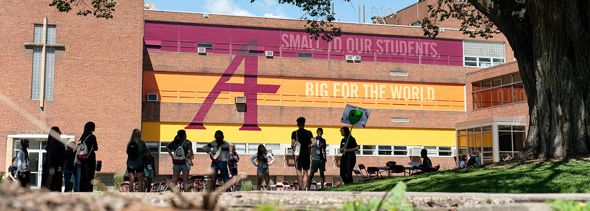 A group of 15 students gathered on Augsburg's campus in front of a building.