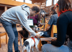 Pastors John and Babette bless two dogs at the annual Blessing of the Animals Daily Chapel service.