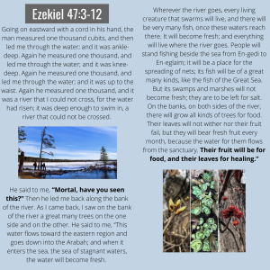 ezekiel 47 text