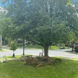 The front porch at Sts. Luke and James. A big oak tree with chairs and a picnic bench under it on a sunny day with blue sky. 