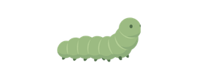 Drawing of a Caterpillar.