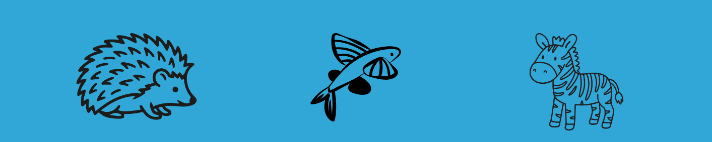 Graphics of a hedgehog, flying fish, and a zebra. 