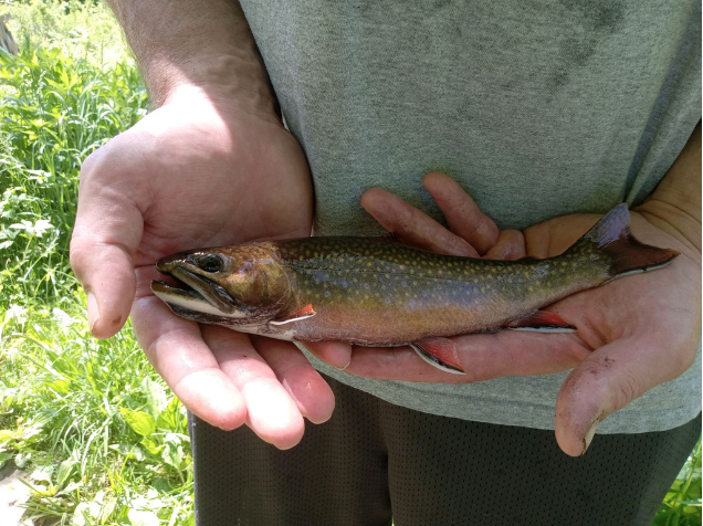 StepUp student holding a fish