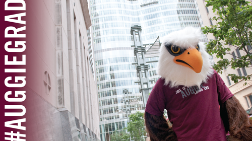 Zoom background with #AuggieGrad and Auggie Eagle