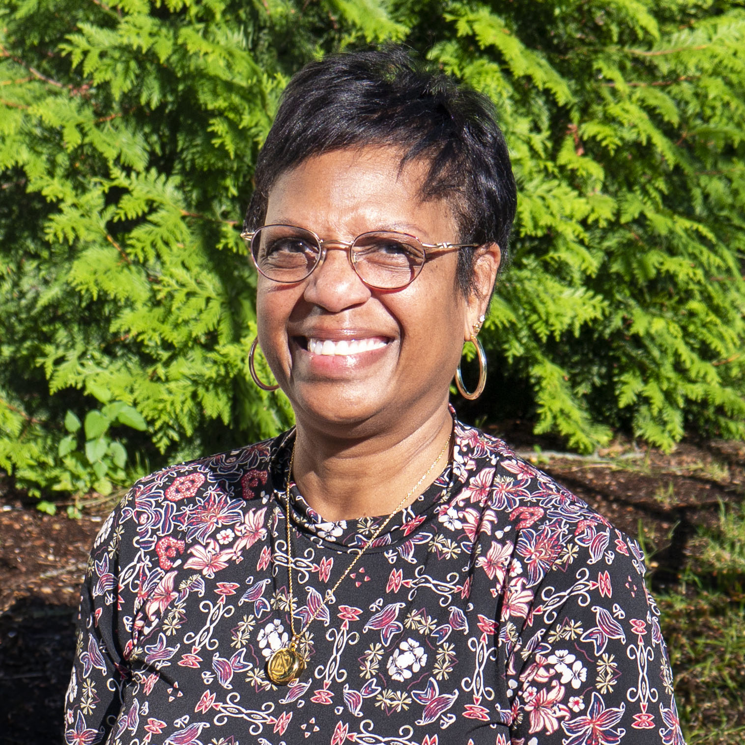 African American Studies - Lisa Hill - Education Continuing Studies ...
