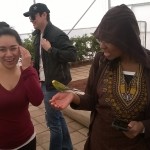 a bird lands on a young woman's hand