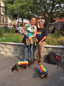 two people wear rainbow gear holding leashes with small dogs