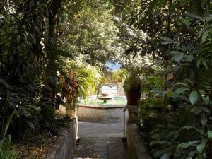 Fountain in a garden