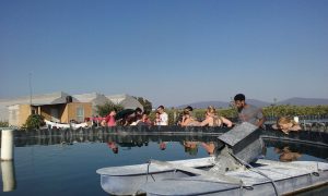 Students look into large pools