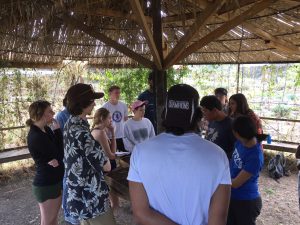 Group at organic farm