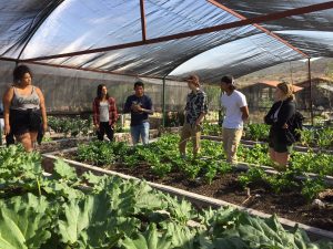 Students in a greenhouse