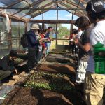 Students examine soil