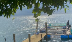 A dock rests on a bright blue lake with sunlight