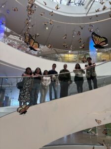 Group with butterfly display