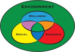 bemidji state sustainability model