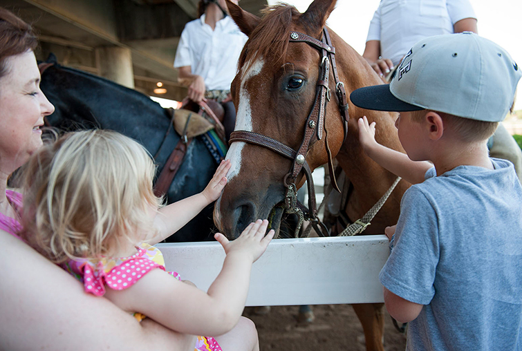 People pet horse at Auggie Night at the Races - Canterbury Park