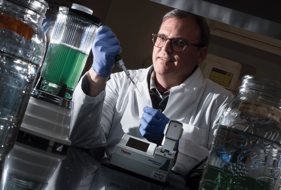 Associate Professor of Biology Matthew Beckman in science lab