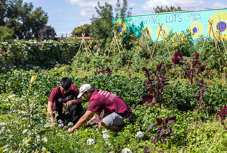 Students doing volunteer work