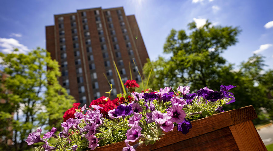 Flowers in a planter in front of Mortensen Tower