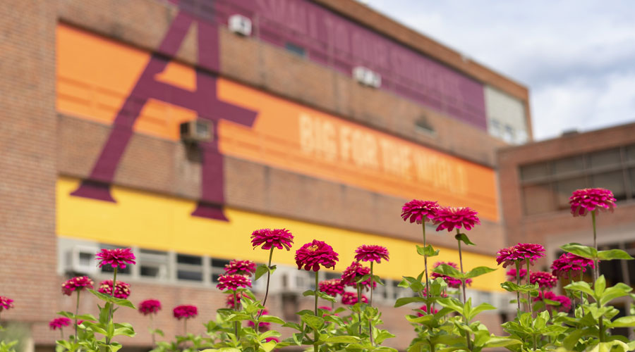 Flowers in front of Science Hall on Augsburg University's campus