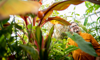 Assistant Professor Leon Van Eck manages the greenhouse.