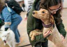 Meet our furry friends