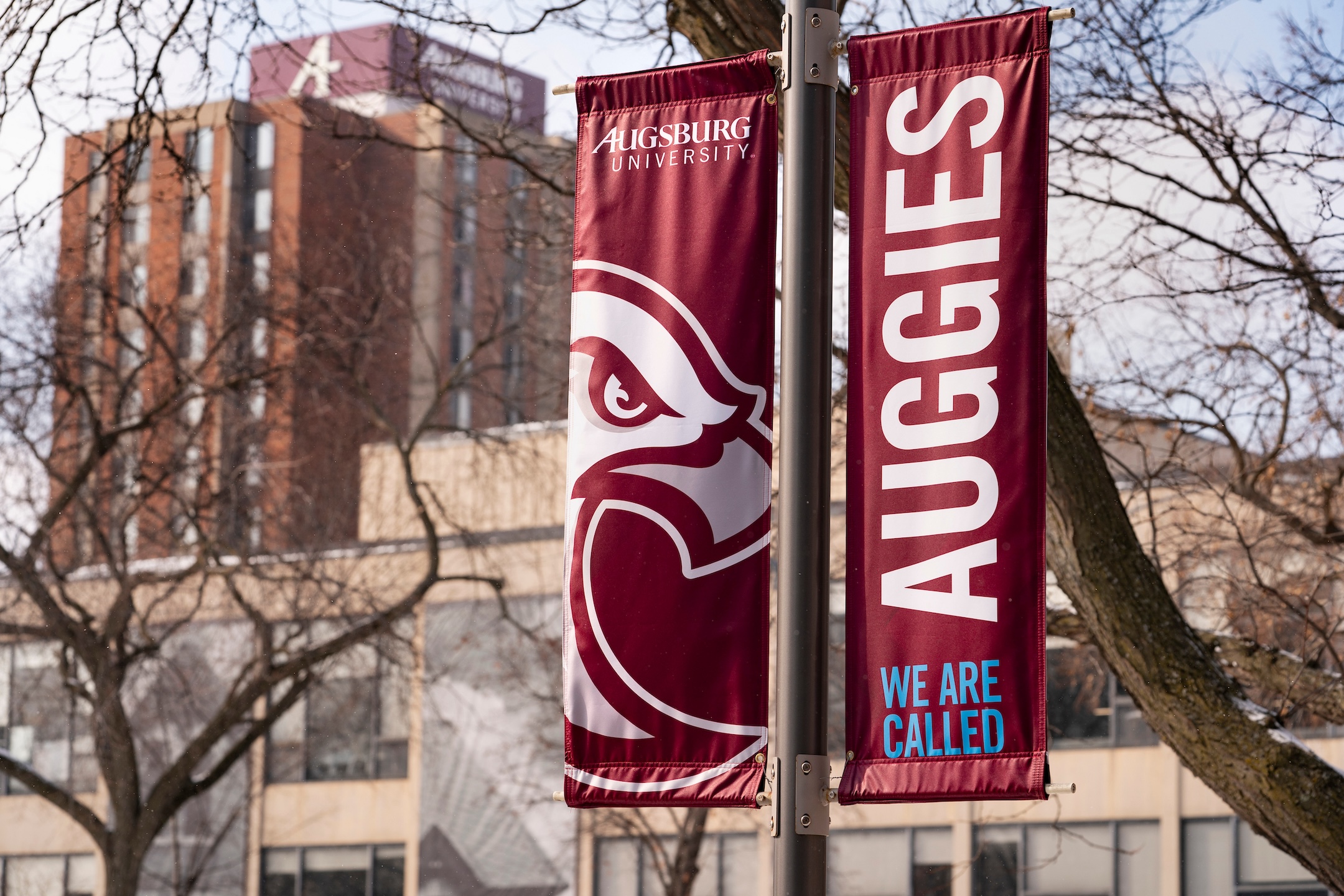 Maroon flagpole banners with the Auggie Eagle and text reading We Are Called Auggies against a backdrop of campus buildings
